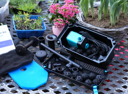 How to Install & Maintain Your Pond Filtration System: A Beginner’s Step-by-Step Guide