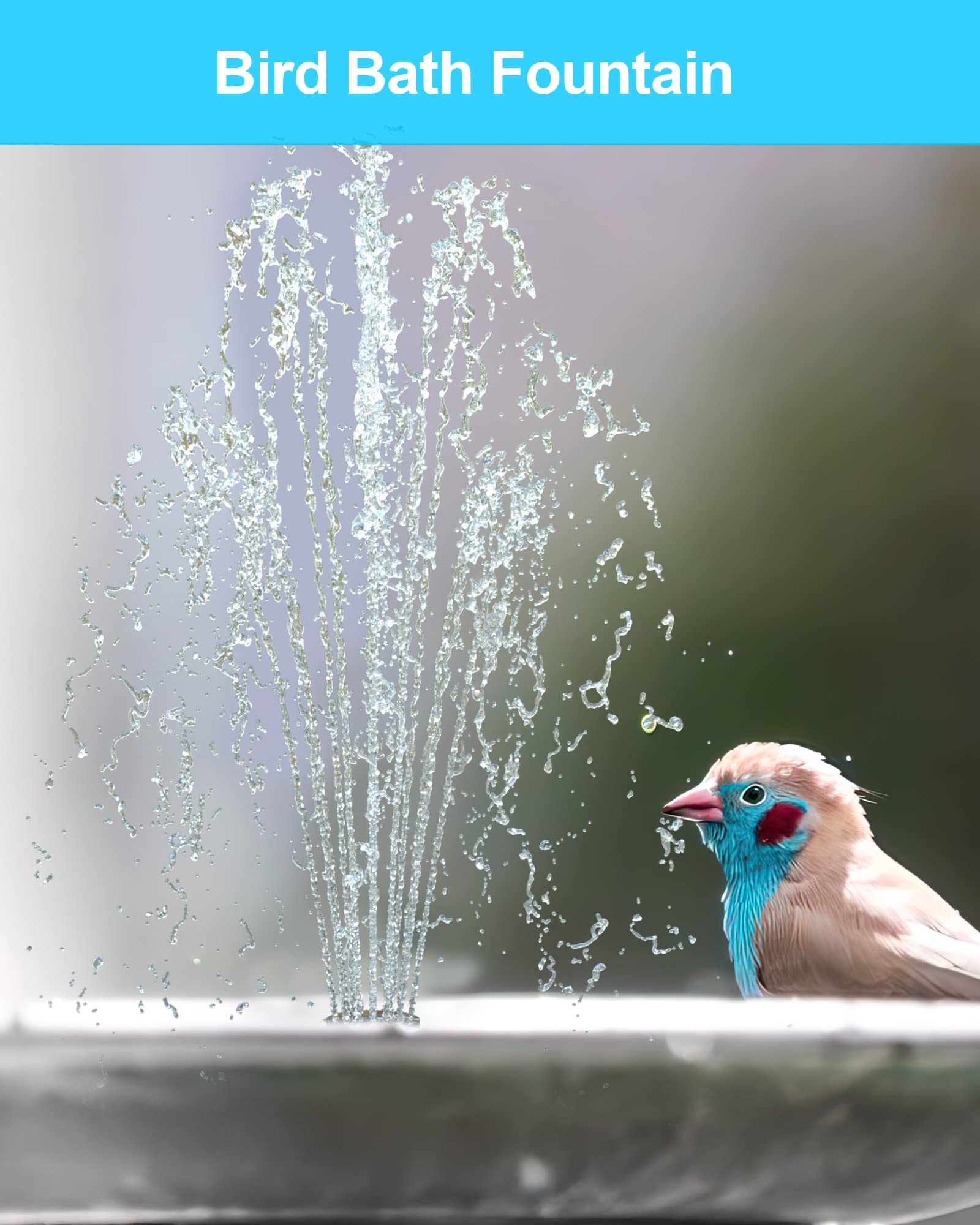 6.5W Solar Water Pump for Bird Bath & Small Ponds